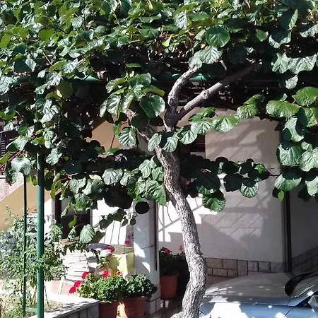 In Rovinj/istrien 11563 Apartment